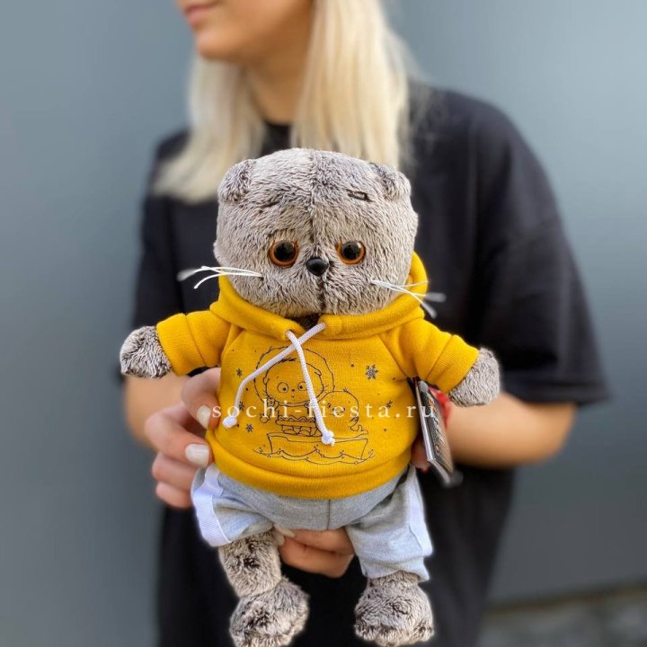 Кот Басик в худи в Пензе