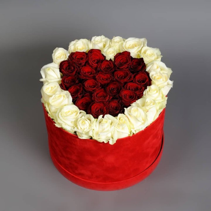 39 красных и белых роз в цилиндре в Пензе