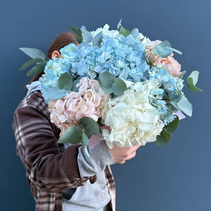 Гортензии в коробочке в Пензе