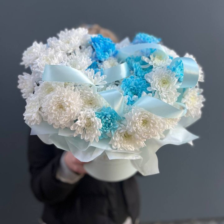 Хризнтемы в боксе в Пензе