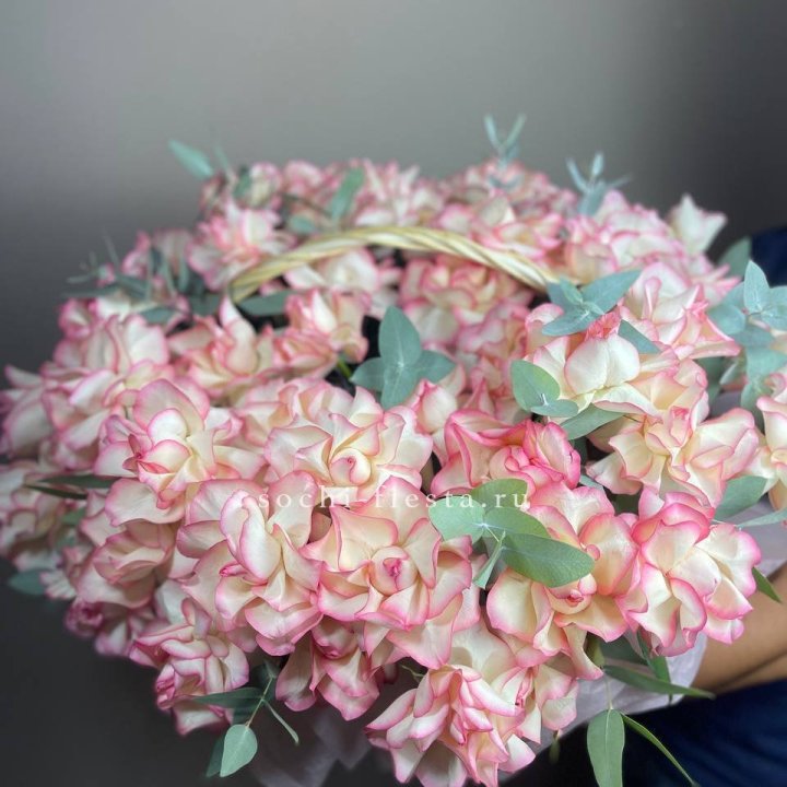 51 джумилия  в корзине   в Пензе