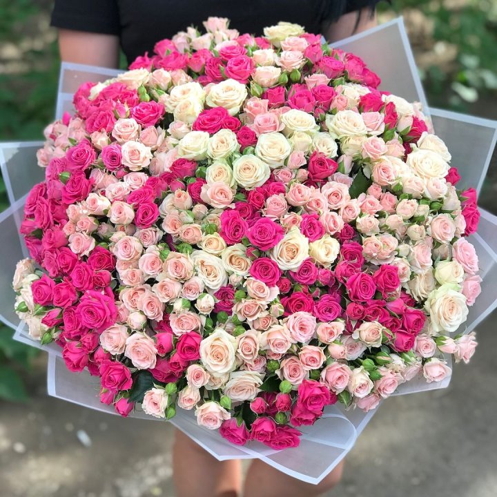 101 кустовая роза в Пензе