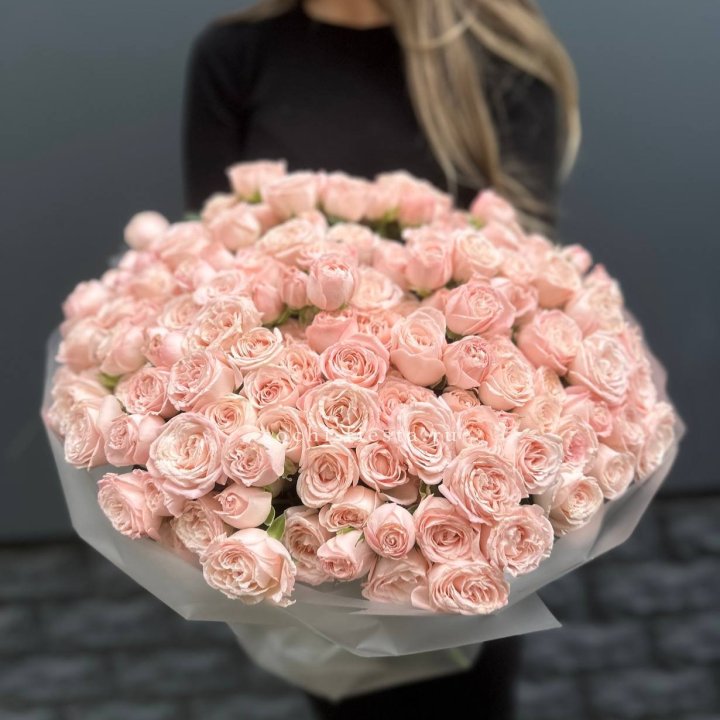 51 кустовая роза Бомбастик в Пензе