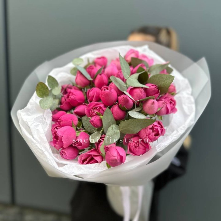 17 Мисти бабблс в Пензе