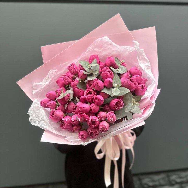 25 Мисти бабблс в Пензе