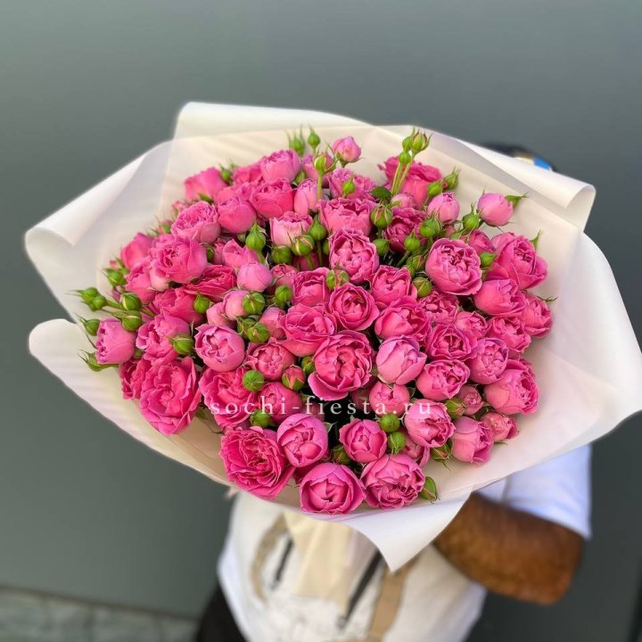 Мисти Баблс 35шт в Пензе