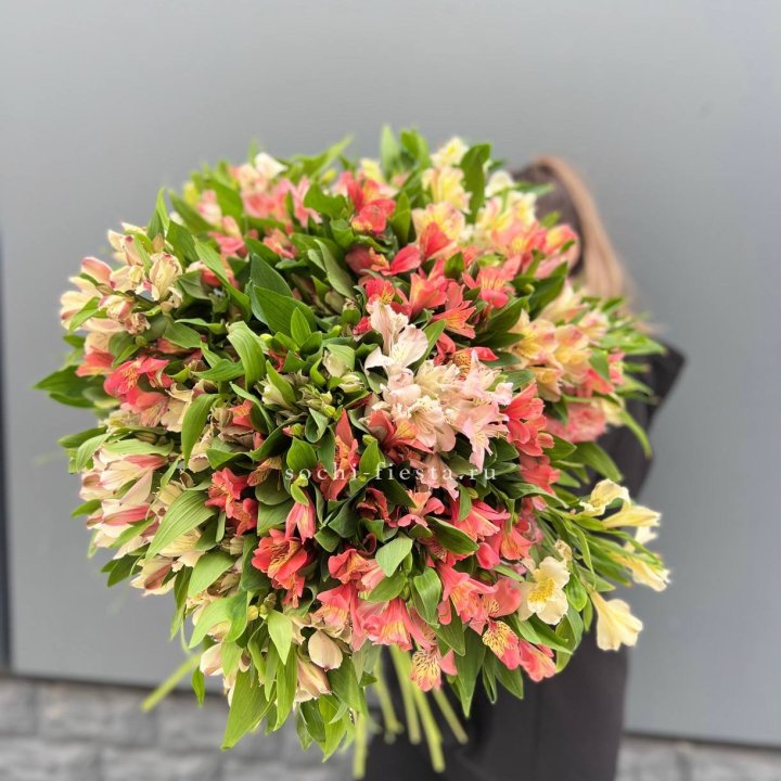 51 альстромерия в Пензе