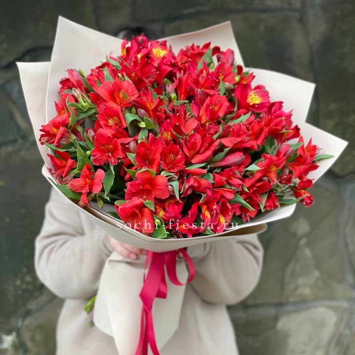 51 альстромерия в Пензе