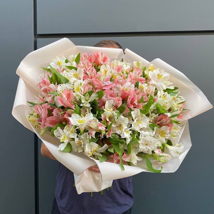 39 альстромерий в Пензе