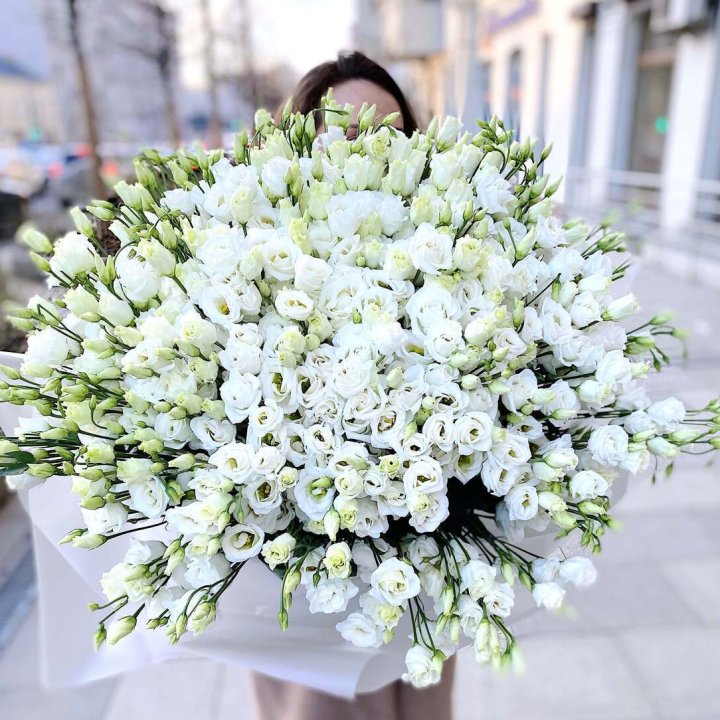 101 белая эустома в Пензе