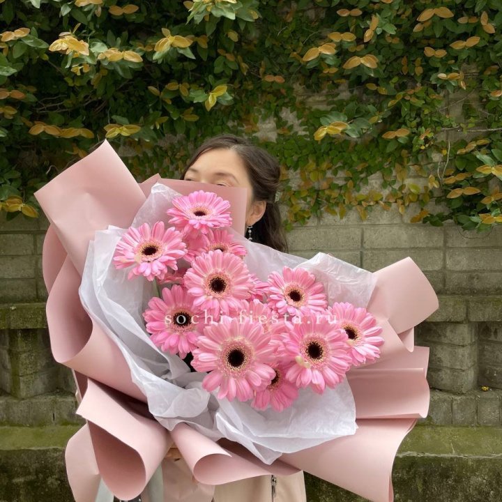 13 розовых гербер в Пензе