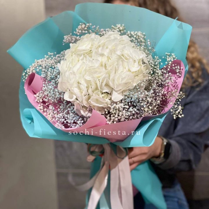 Гортензия "Райдов" в Пензе