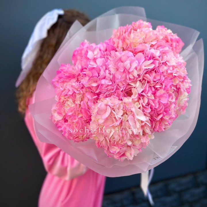 7 ярко розовых гортензий в Пензе