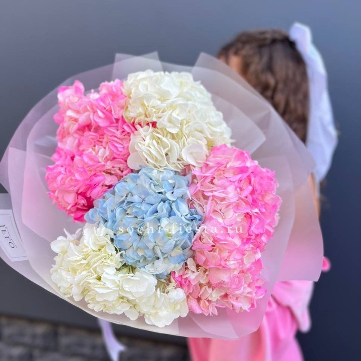 7 гортензий микс в Пензе