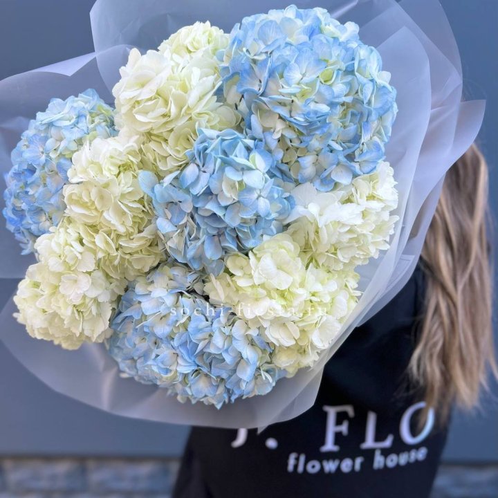 9 бело-голубых гортензий в Пензе