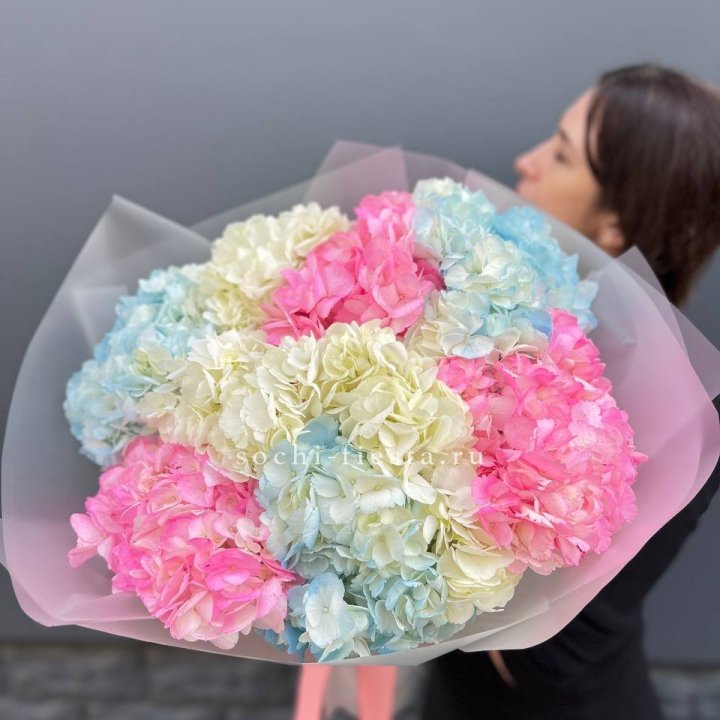 9 гортензий микс в Пензе