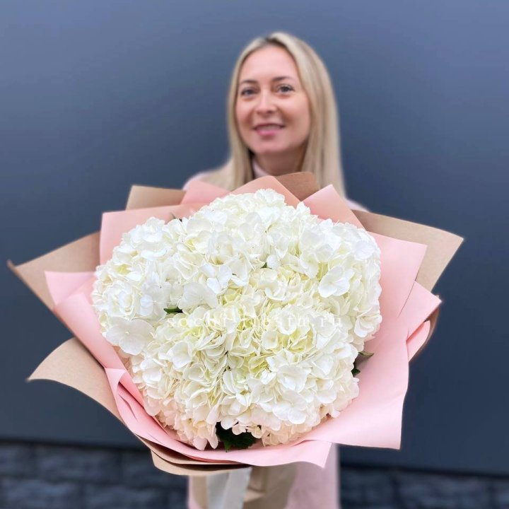 Гортензия белая в Пензе