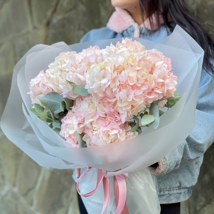 5 розовых гортензий в Пензе