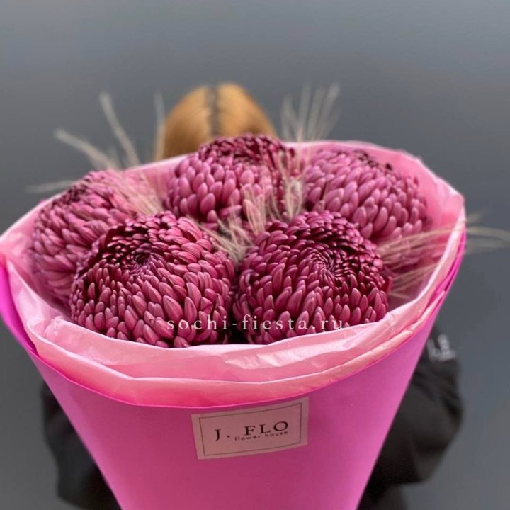 Хризантемы  Бигуди с стифой в Пензе