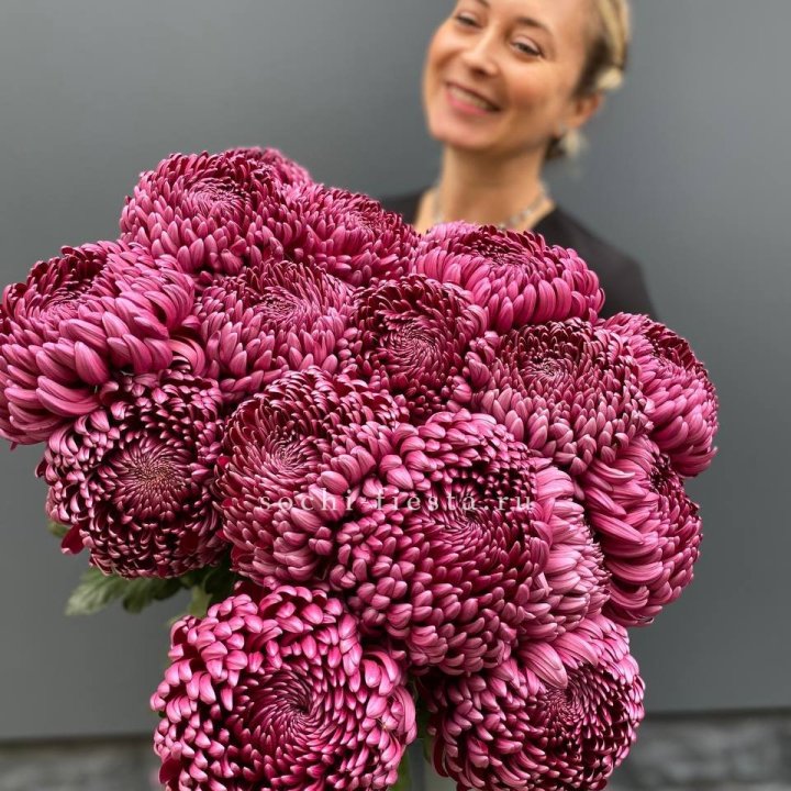 Охапка хризантем Бигуди в Пензе