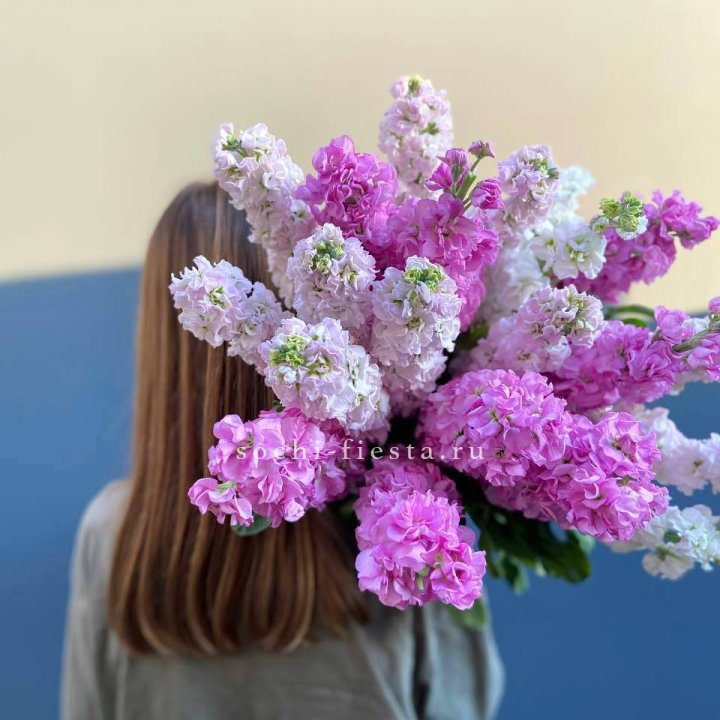 Охапка маттиолы в Пензе