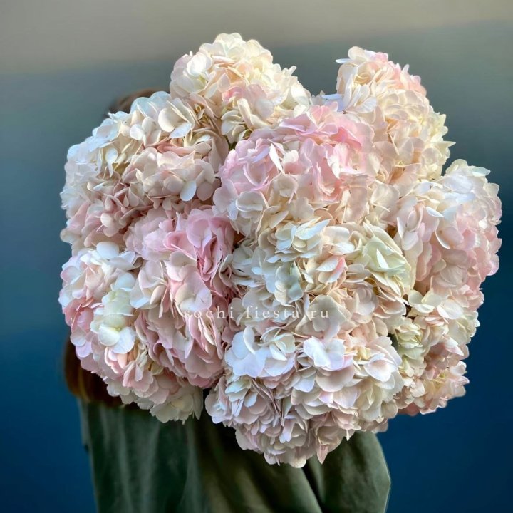 Охапка розовой гортензии в Пензе