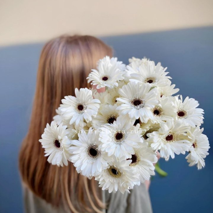 Охапка гербер в Пензе