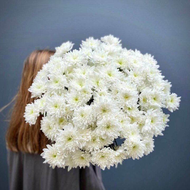 Охапка Хризантемы кустовой в Пензе