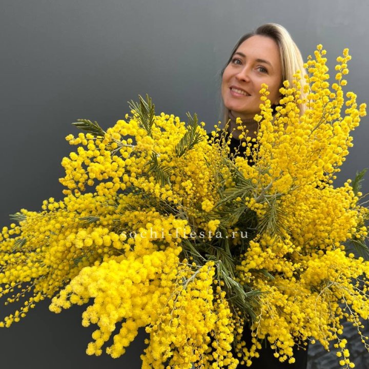 Охапка мимозы №2 в Пензе
