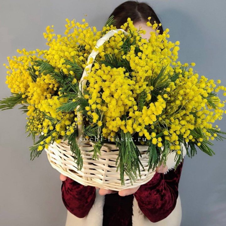 Корзина ароматной мимозы в Пензе