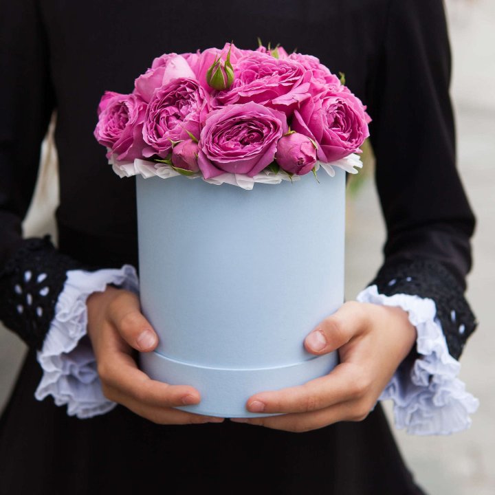 Бокс мини мисти в Пензе