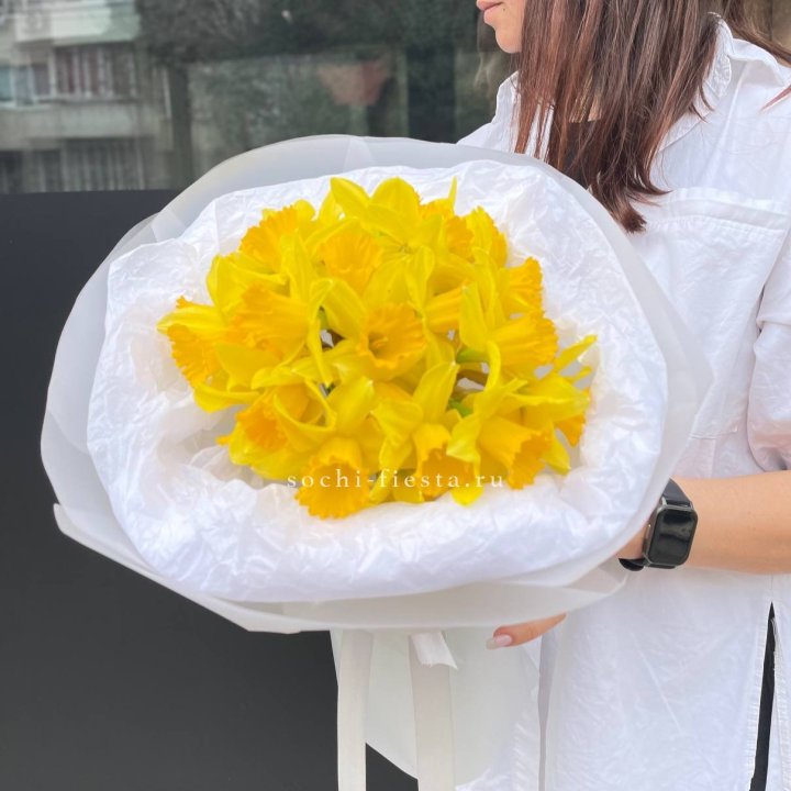 Нарциссы 25 шт в Пензе