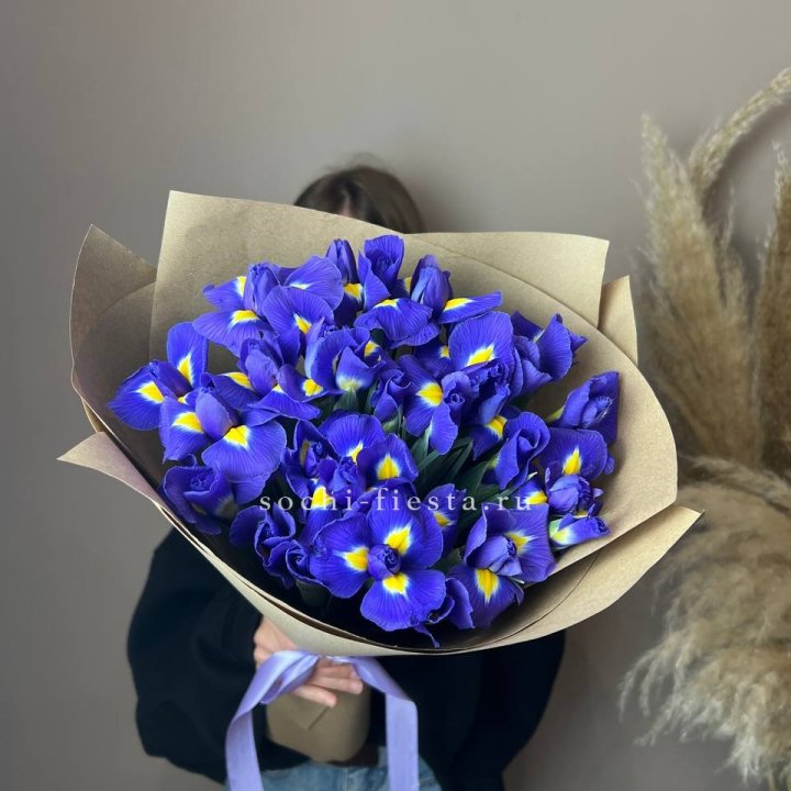 Ирисы в Пензе