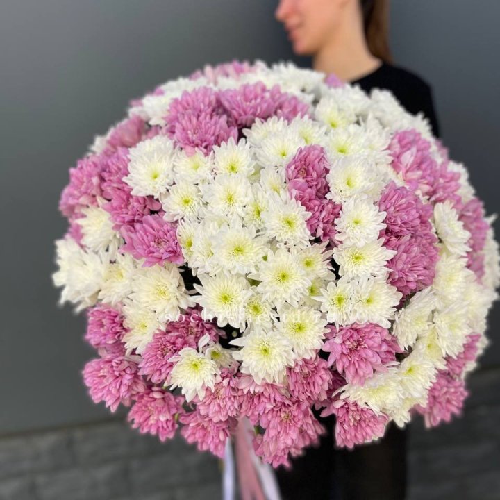  Букет 25 хризантем микс в Пензе