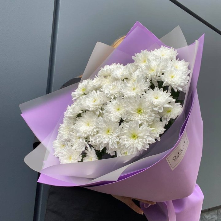  7 хризантем  в Пензе