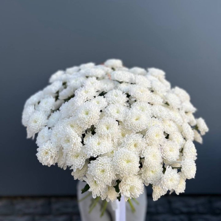  25 хризантем белых в Пензе