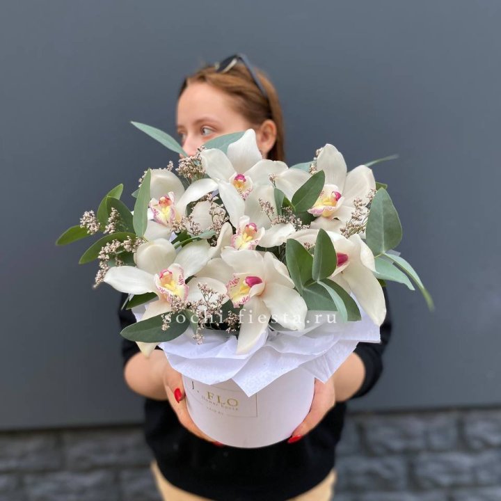 7 орхидей в боксе в Пензе