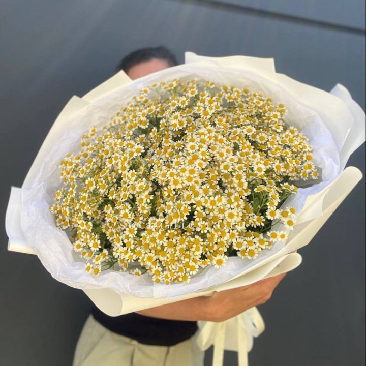 Букет ромашек №2 в Пензе