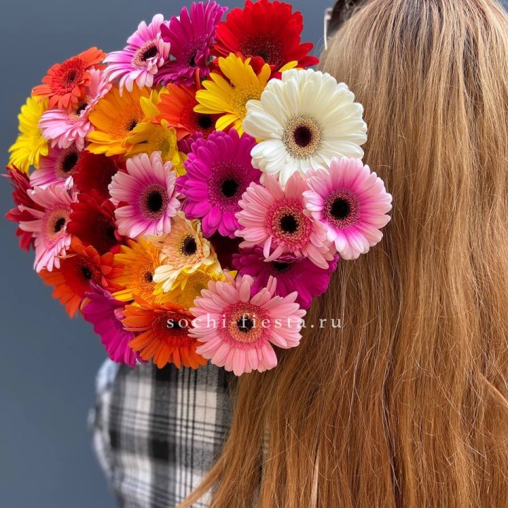 Охапка гербер  в Пензе