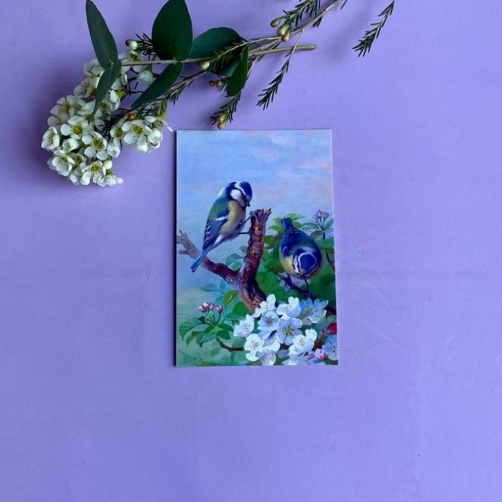 Открытка к букету "Птицы" в Пензе