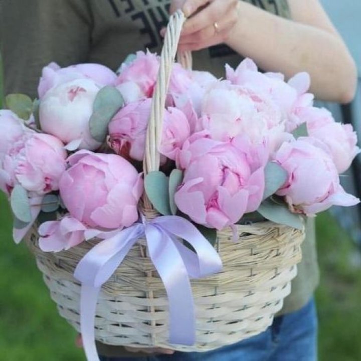 15 пионов в корзине в Пензе