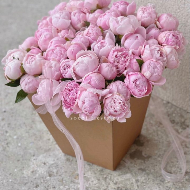 49 пионов в крафт коробке в Пензе