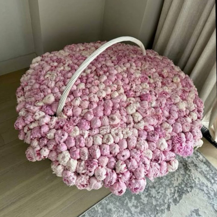 Корзина 555 пионов в Пензе