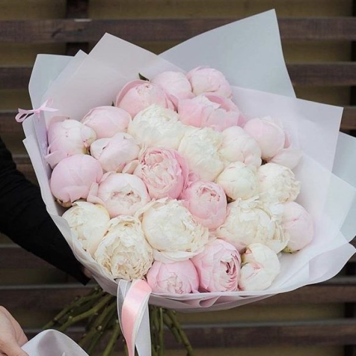 29 пионов в Пензе