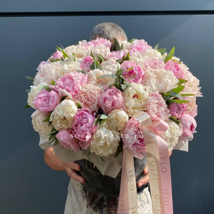 51 пионов в боксе в Пензе