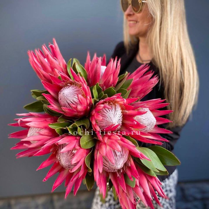Протея штучно в Пензе