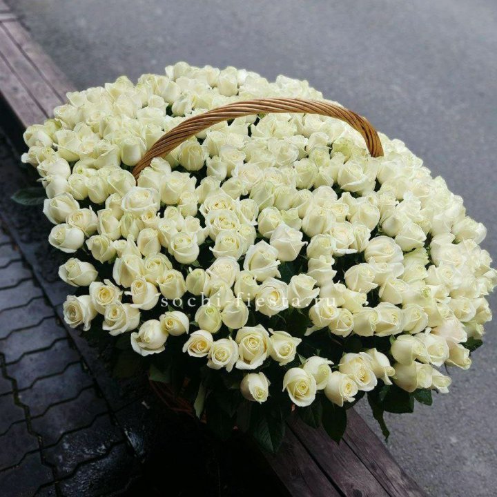 303 розы в корзине в Пензе