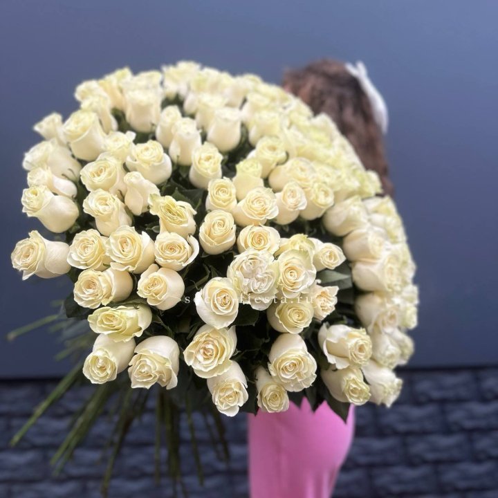 101 белая высокая импортная роза под ленту в Пензе