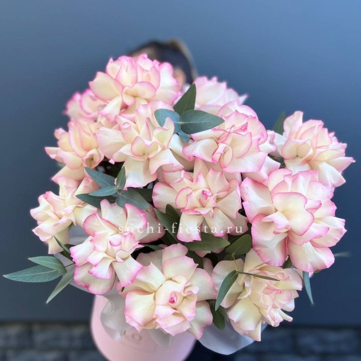 15 Французских роз Джумилия в боксе в Пензе