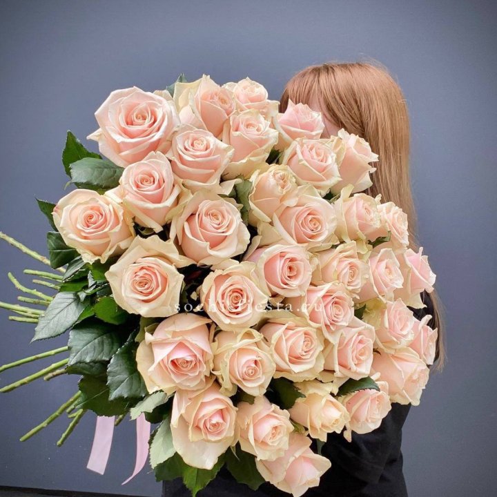 35 кремовых высоких роз в Пензе